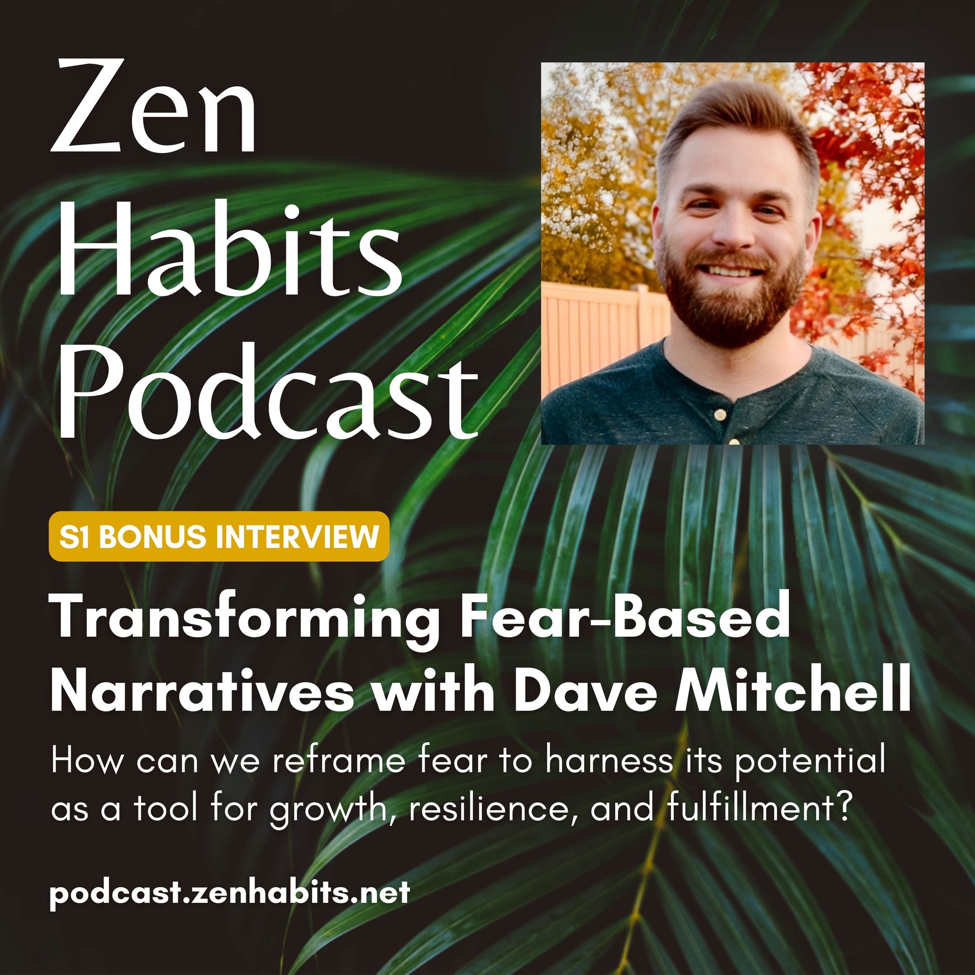 S1 Bonus - Transforming Fear-Based Narratives with Dave Mitchell