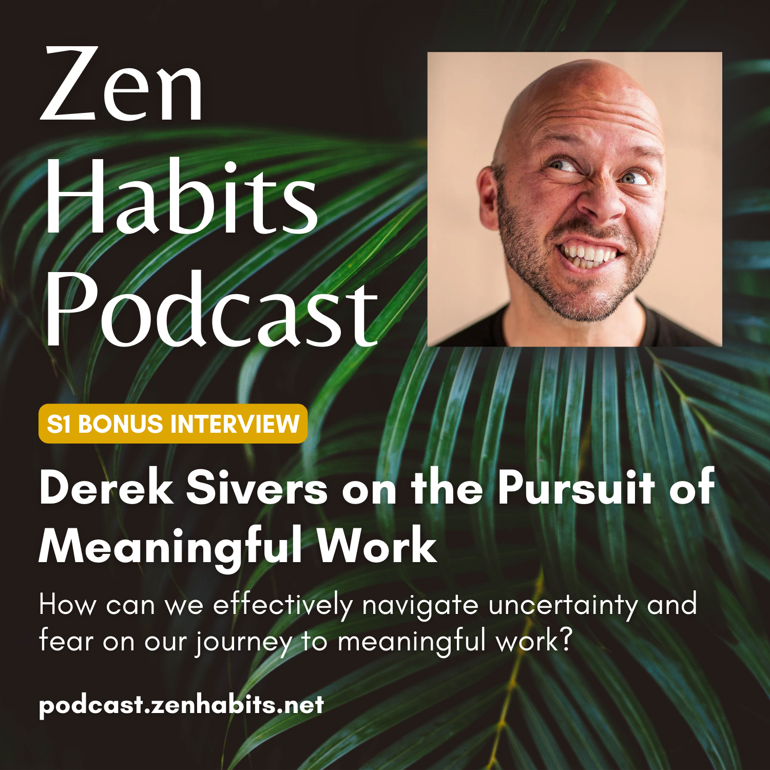 S1 Bonus - Derek Sivers on the Pursuit of Meaningful Work