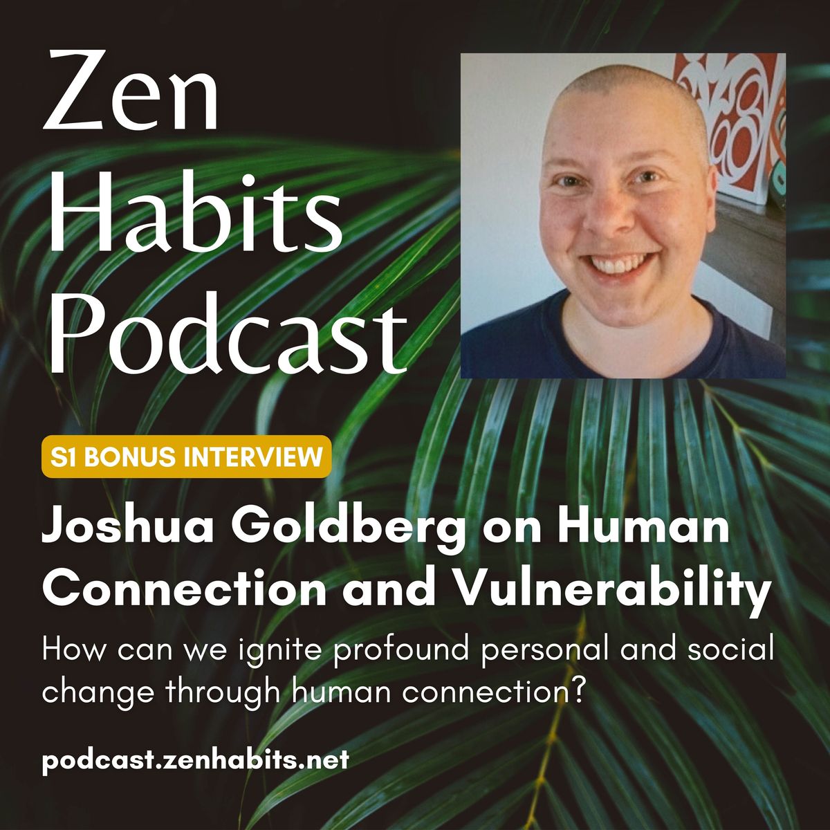 S1 Bonus - Joshua Goldberg on Human Connection and Vulnerability