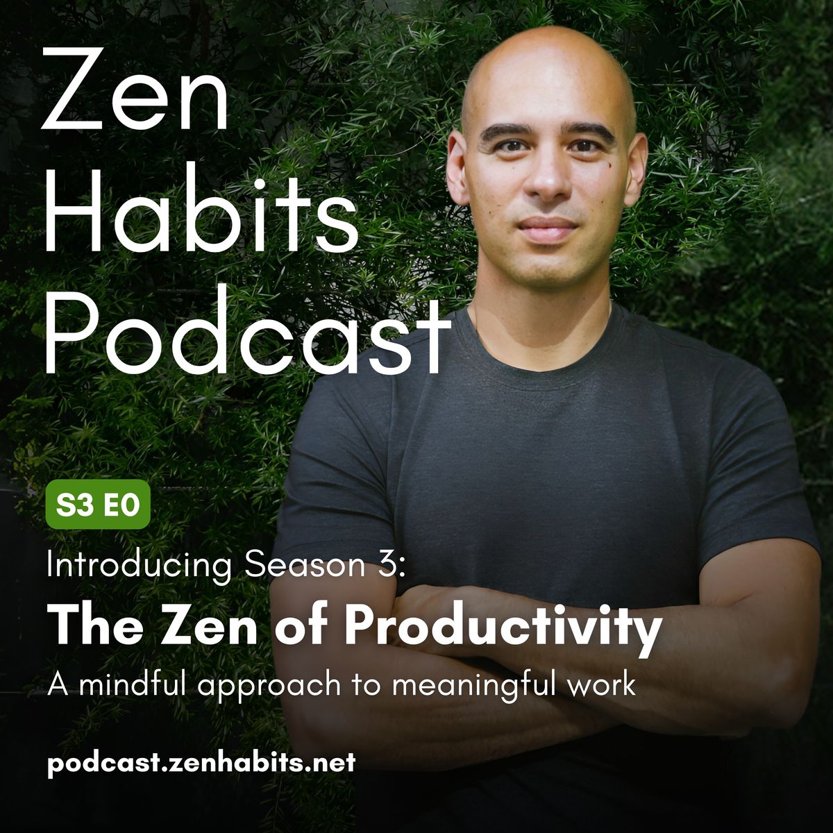 Introducing Season 3: The Zen of Productivity